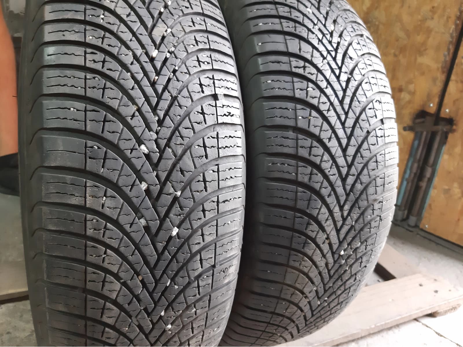 Вживані шини з Європи Dunlop Allseason 2 195/65 R 15