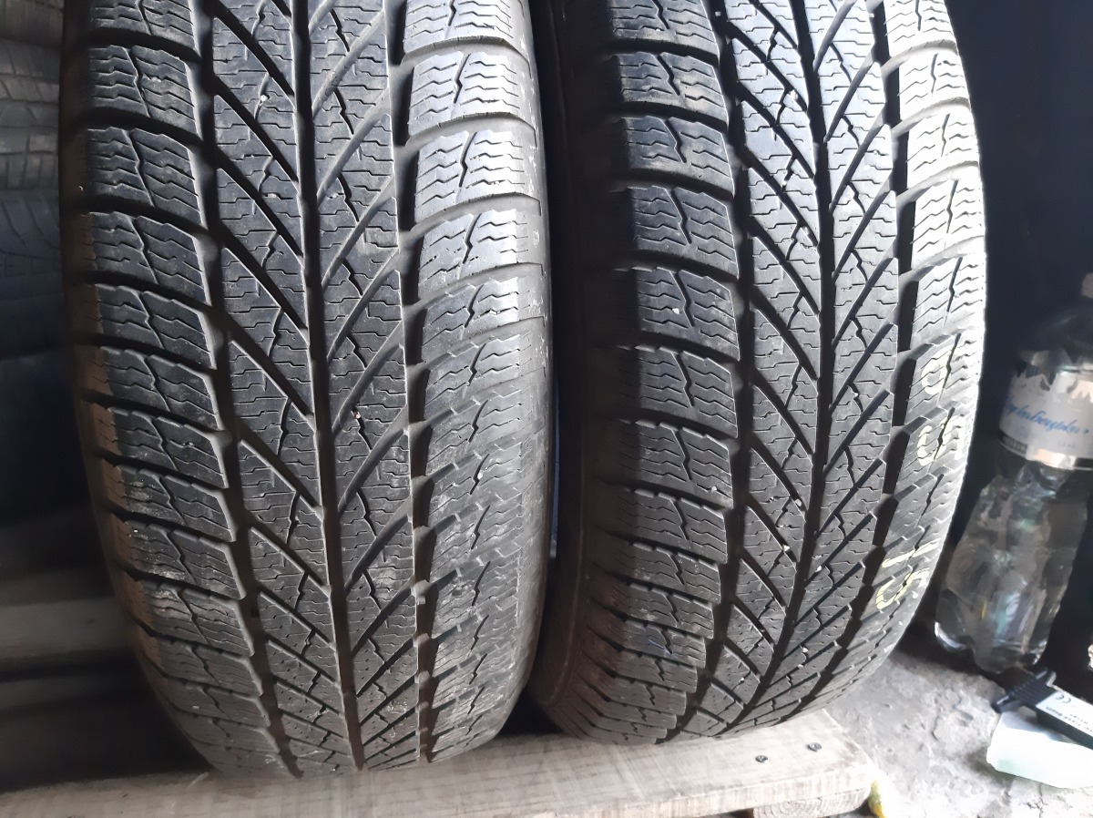 Придбати вживані шини Gislaved Euro Frost 5 195/65 R 15