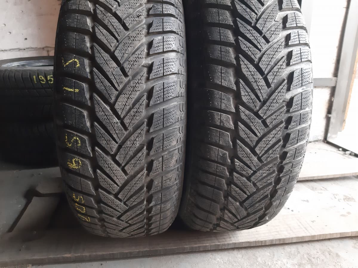 Придбати вживані шини Dunlop SP WinterSport M3    205/65 R 15