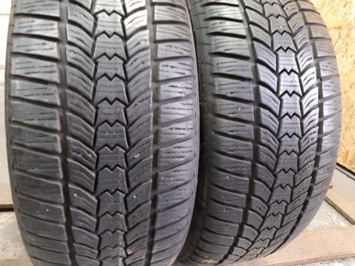 Вживані шини з Європи Sava Eskimo HP2 225/50 R 17