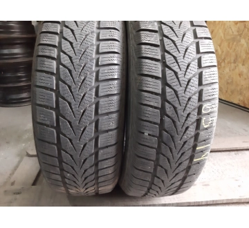 Шини на авто в хорошому стані Points Winter Star 4     . шириною 185 висотою 65 радіусом R 14 низькі ціни
