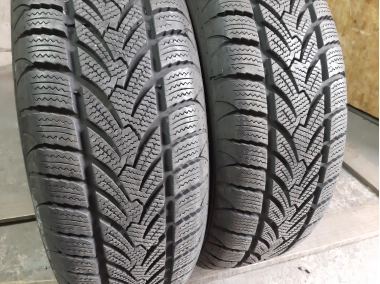 Шини на авто в хорошому стані Platin RP 60 Winter шириною 195 висотою 65 радіусом R 15 низькі ціни